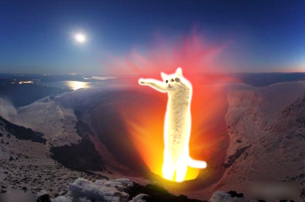 cat7-002.jpg