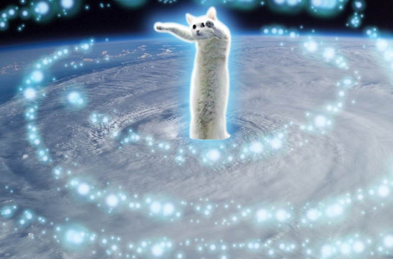 cat7-004.jpg